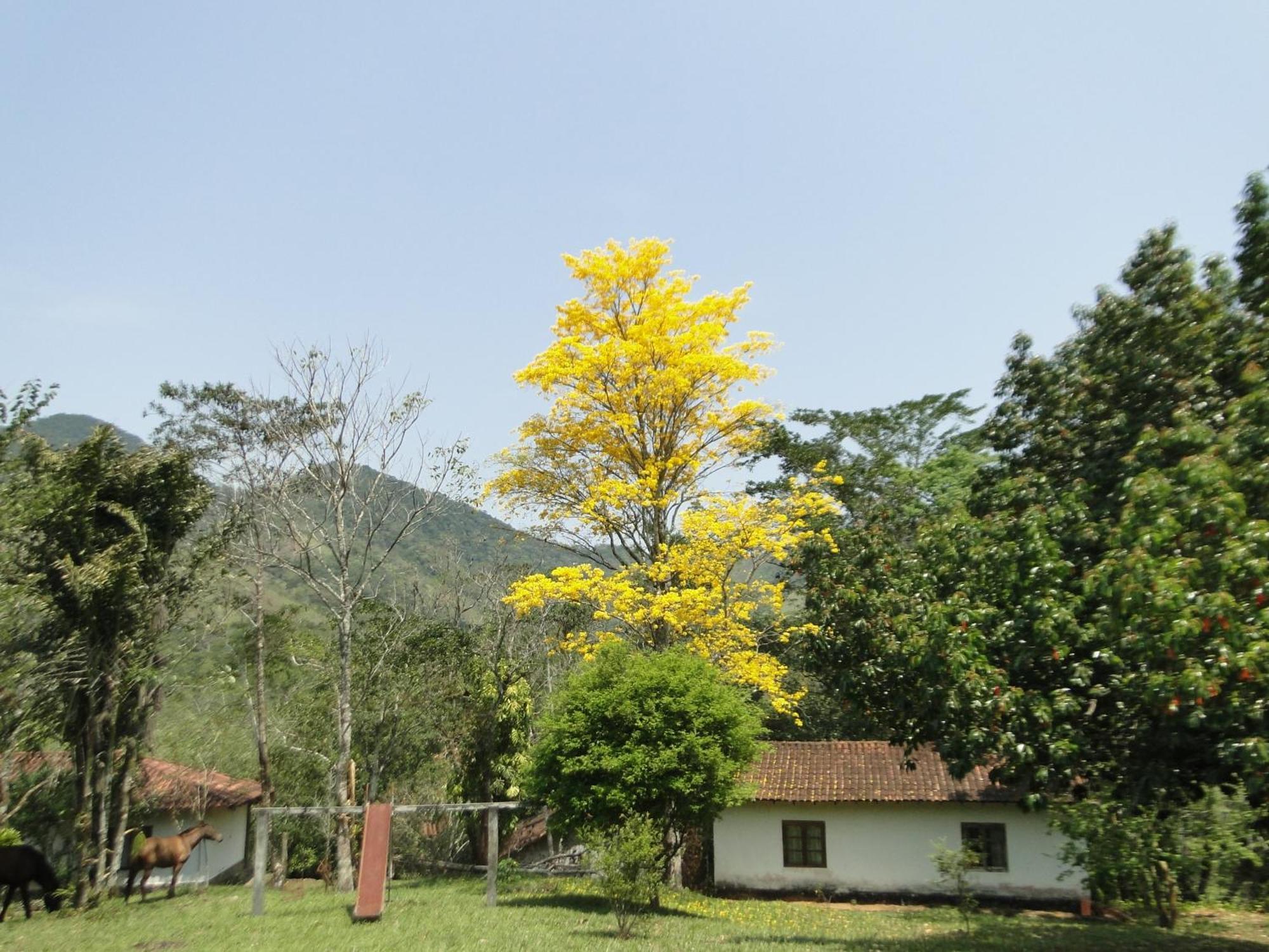Fazenda Tapinua Villa Silva Jardim Exterior foto